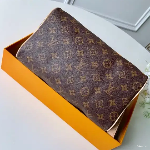 Vuitton SPEEDY BANDOULIERE 25 Louis 0509